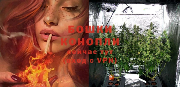 ГАЛЛЮЦИНОГЕННЫЕ ГРИБЫ Киренск