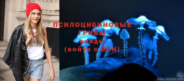 ГАЛЛЮЦИНОГЕННЫЕ ГРИБЫ Киренск