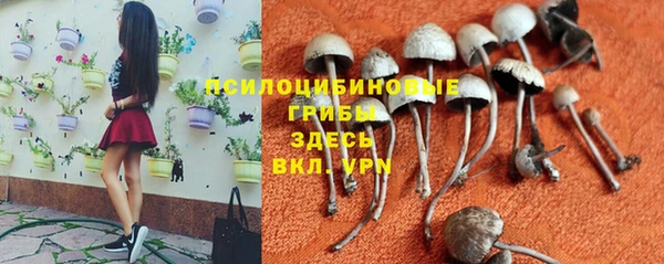 меф Кинешма