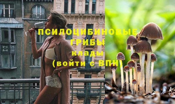 меф Кинешма