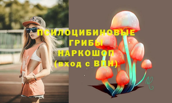 меф Кинешма